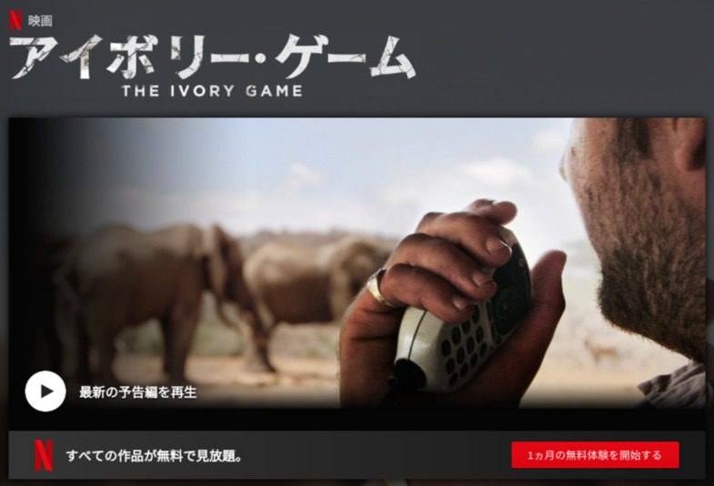 [MOVIES] アイボリー・ゲーム (2019) (WEBRIP)