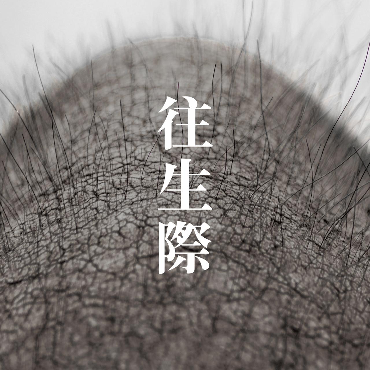 [Single] yonige – 往生際 (2019.08.07/MP3/RAR)