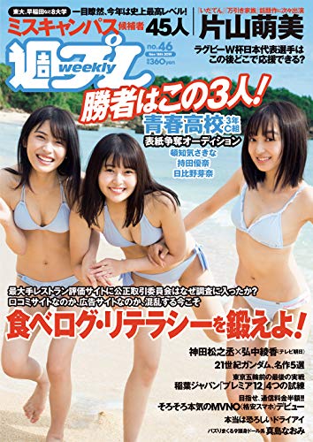 [雑誌] 週刊プレイボーイ 2019年46号