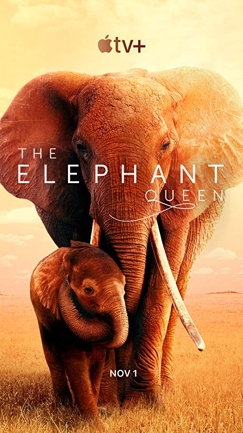[MOVIES] The Elephant Queen (2019) (WEBRIP)