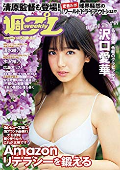 [雑誌] 週刊プレイボーイ 2019年51号