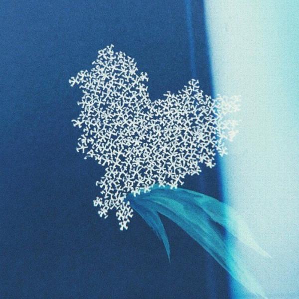[Single] 大塚愛 (Ai Otsuka) – ドラセナ [FLAC / 24bit Lossless / WEB] [2018.04.07]