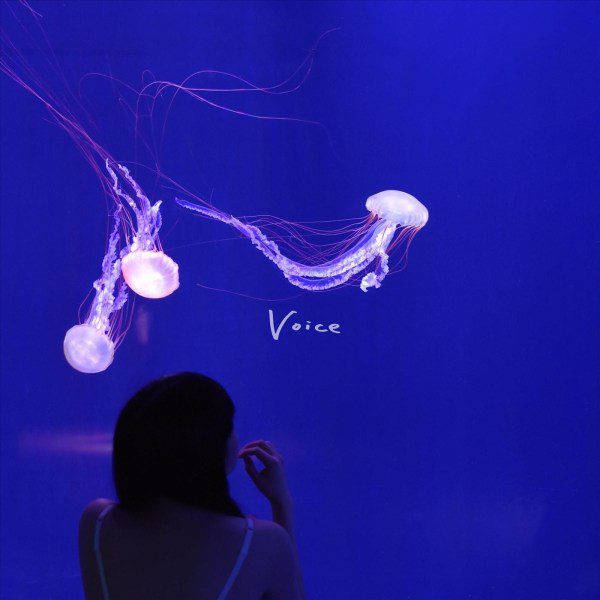 [Album] 赤いくらげ (Akai Kurage) – Voice [FLAC / WEB] [2020.04.08]