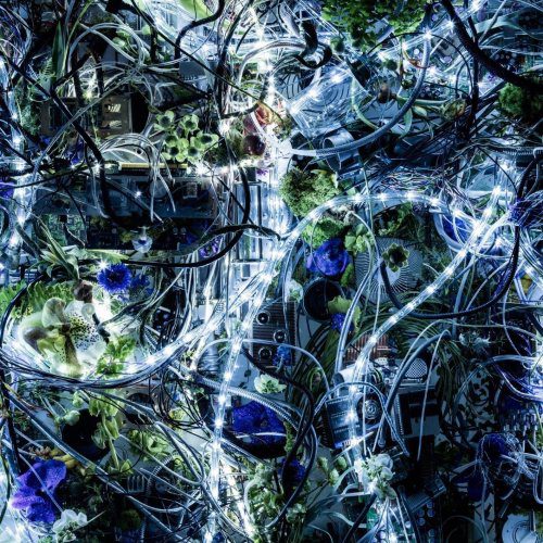 [Single] Aimer – ninelie EP [FLAC / 24bit Lossless / WEB] [2016.05.11]