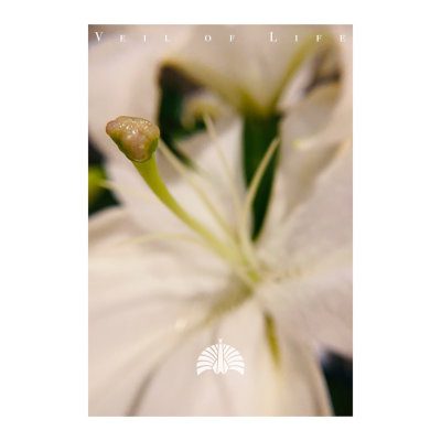 [Single] 東京事変 (Tokyo Jihen) – 命の帳 [FLAC + MP3 320 / WEB]