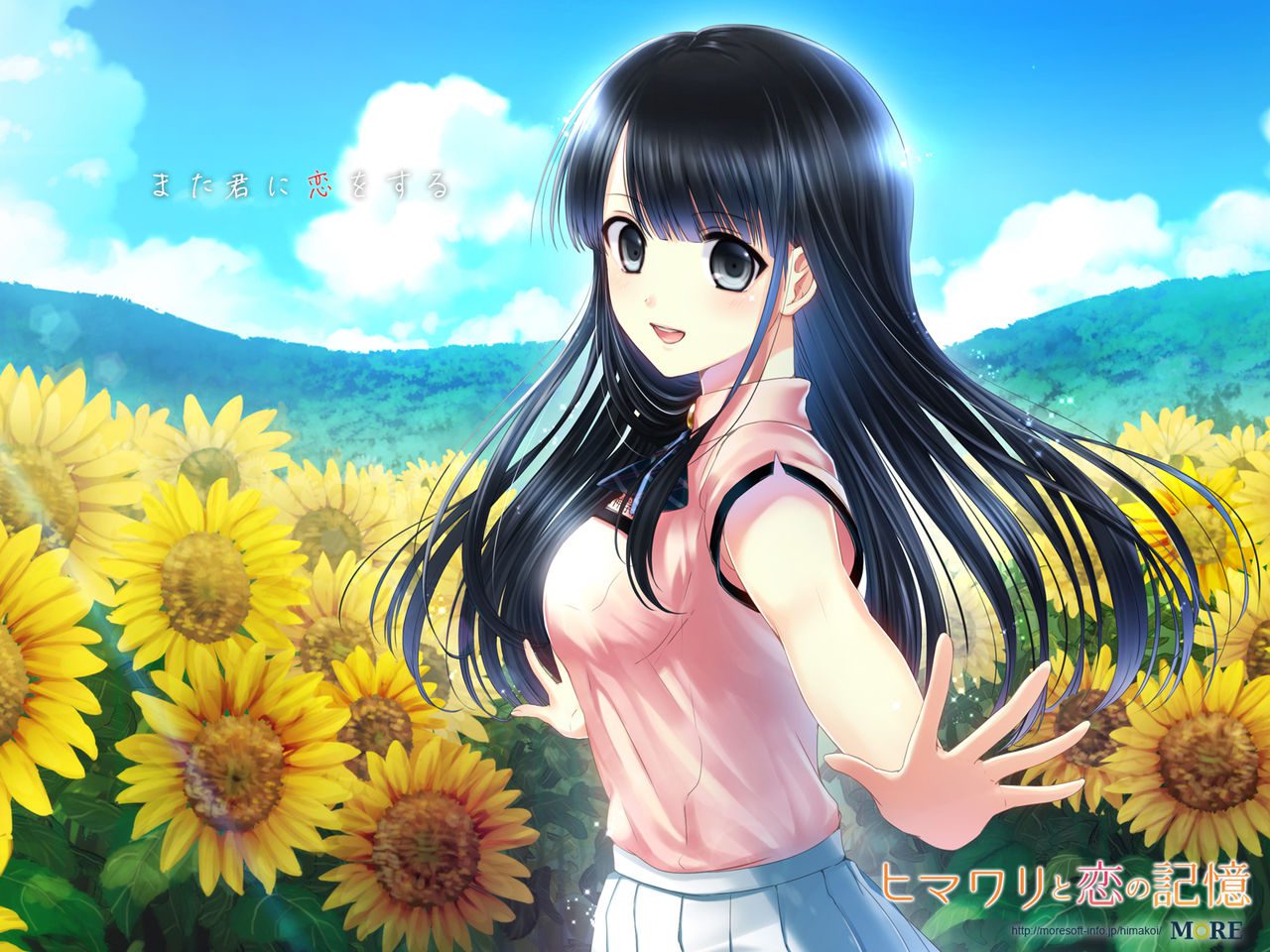 [MORE] ヒマワリと恋の記憶