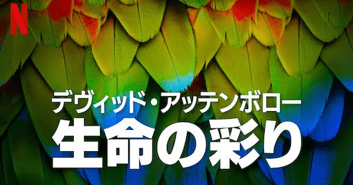 [ドラマ] デヴィッド・アッテンボロー: 生命の彩り 第1シーズン 全3話 (2021) (WEBRIP)