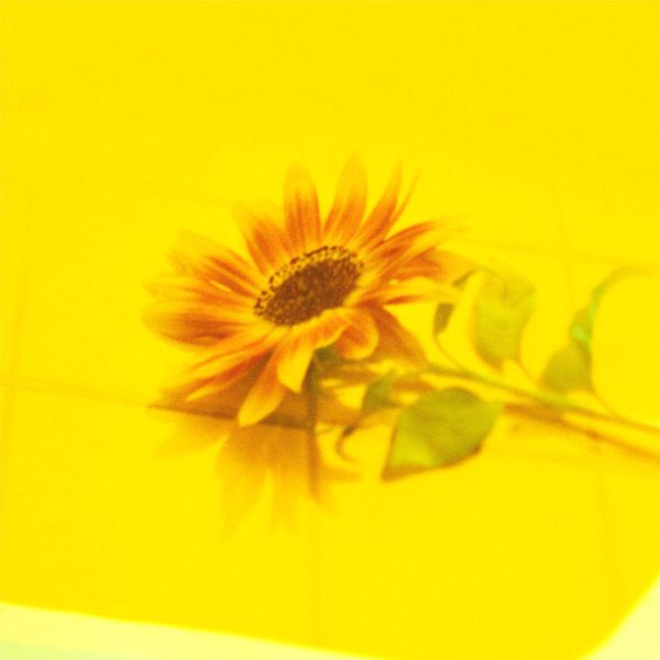 [Single] Vaundy – 花占い (2021.07.05/MP3+Hi-Res FLAC/RAR)
