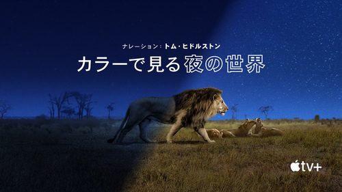 [ドラマ] カラーで見る夜の世界 シーズン1 全6話 (2021) (WEBDL)