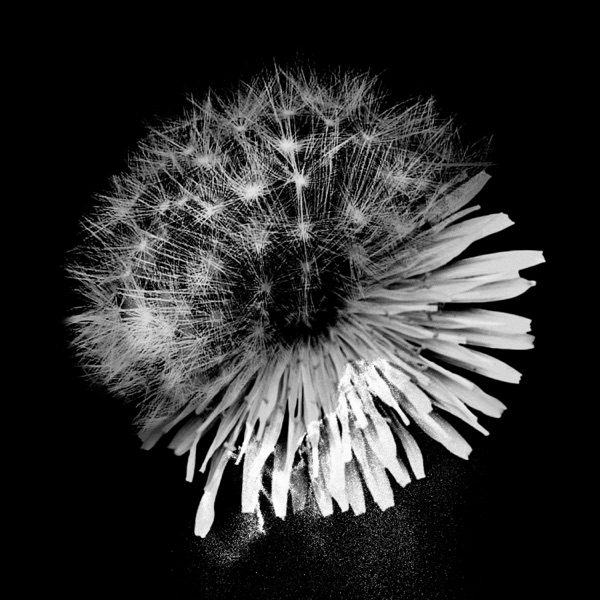 [Single] タイムファクター – 神はサイコロを振らない (2021.10.17/MP3/RAR)