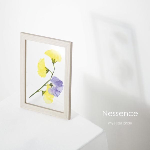 [Album] my sister circle – Nessence [FLAC / WEB] [2022.03.23]