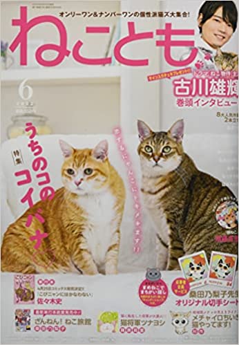 [雑誌] ねことも 2022年02-06月号