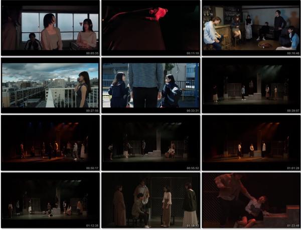 [MUSIC VIDEO] ソフトボイルド – カルテットルーム (2022.04/MP4/RAR) (DVDISO)