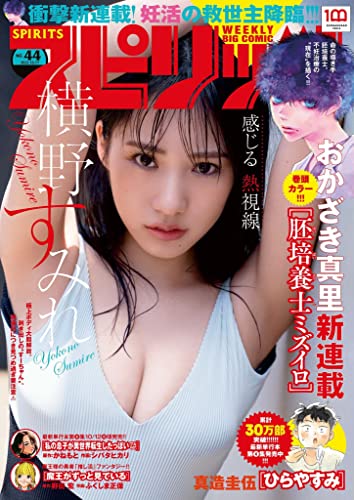[雑誌] 週刊ビッグコミックスピリッツ 2022年44号