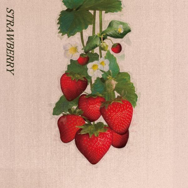 [Single] kobore – STRAWBERRY (2022.10.02/MP3/RAR)