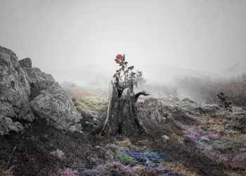 [Single] JUJU – Hana / 花 (2022.11.23/MP3/RAR)