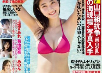 [雑誌] 週刊FLASH（フラッシュ） 2022年11月15日号（1666号）