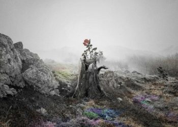 [Single] JUJU – 花 [FLAC / WEB] [2022.11.23]