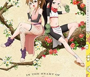 [ANIME] くノ一ツバキの胸の内 其の六 (BDMV)