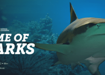 [ドラマ] Game of Sharks (2022) (WEBRIP)