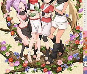 [ANIME] くノ一ツバキの胸の内 全13話 (2022) (BDRIP)