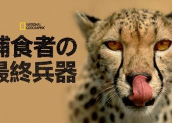 [ドラマ] 捕食者の最終兵器 第1シーズン 全6話 (2023) (WEBRIP)