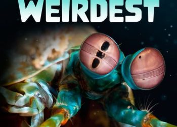[ドラマ] Ocean’s Weirdest 第1シーズン 全3話 (2023) (WEBRIP)