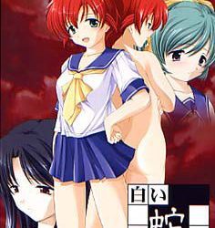 [Kisu] Shiroi Hebi no Yoru（白い蛇の夜）