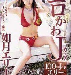 [TITS-002] Kisaragi Elly 如月エリー – エロかわJカップ Ero kawa Jcup[AVI/539GB]