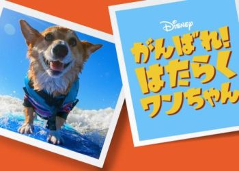 [ドラマ] がんばれ！ はたらくワンちゃん 第1シーズン 全10話 (2023) (WEBRIP)