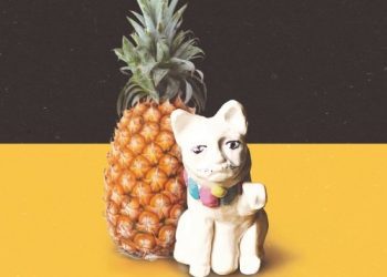 [Album] 斉藤和義 (Kazuyoshi Saito) – PINEAPPLE [FLAC / WEB] [2023.04.12]