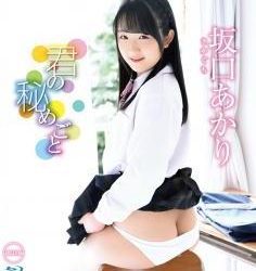 [AIMS-017B] Akari Sakaguchi 坂口あかり – Your Secret 君の秘めごと[MKV/3.97GB]