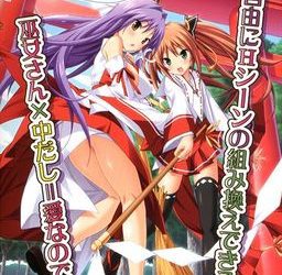 [2009][Chain-Reaction] Miko Dashi（巫女だし） [Soundtrack OP + Windows 10 + Save] [Crack]