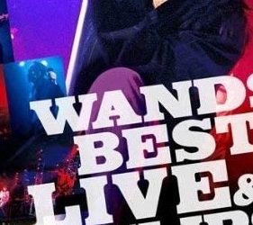 [TV-SHOW] WANDS – WANDS BEST LIVE&CLIPS (2012.08.08) (DVDISO)