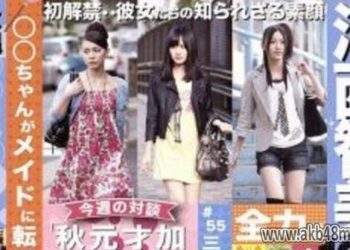 【DVDISO】110416 AKB48 Shukan AKB Vol 10